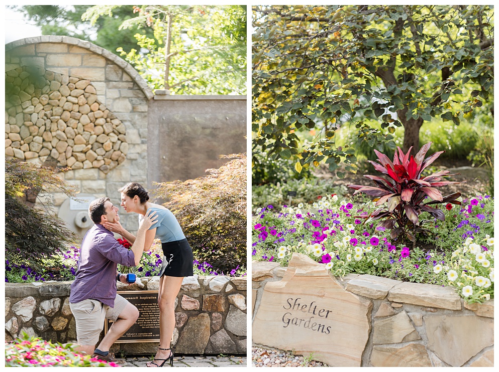 Proposal photos at Shelter Gardens Columbia Missouri