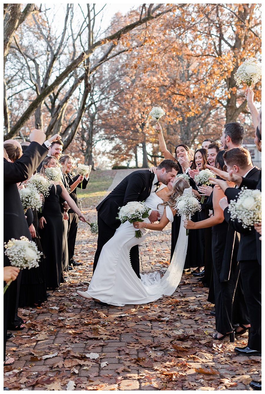 Bridal Party photos in St, Louis Missouri captured by a St. Louis Missouri wedding photographer 